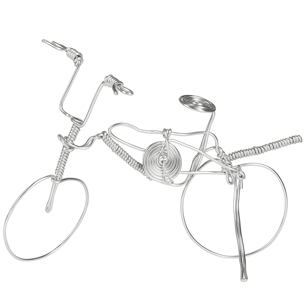 Tenn Well 12 Gauge Aluminum Wire, 100 Feet 2mm Bendable Metal Craft Wire for Sculpting, Armature, Jewelry Making, Floral Making, Doll Making, Modelling, Crafting, Bonsai Training