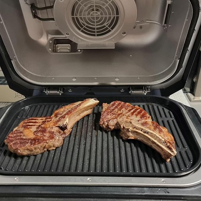 Grill Griddle Plate for Ninja Woodfire Outdoor Grills OG700 Series, Flat Top Griddle Plate for Ninja XSKGRDPLT Woodfire OG701 Grill, Striped Baking Griddle Pan, Insert