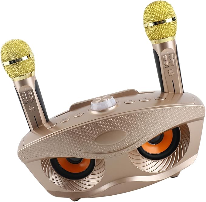 Speaker, KTV Karaoke Speaker with 2 Microphones for Home Party, 3000mAh Battery 10M Wireless Connection AUX Input USB Support (Gold)