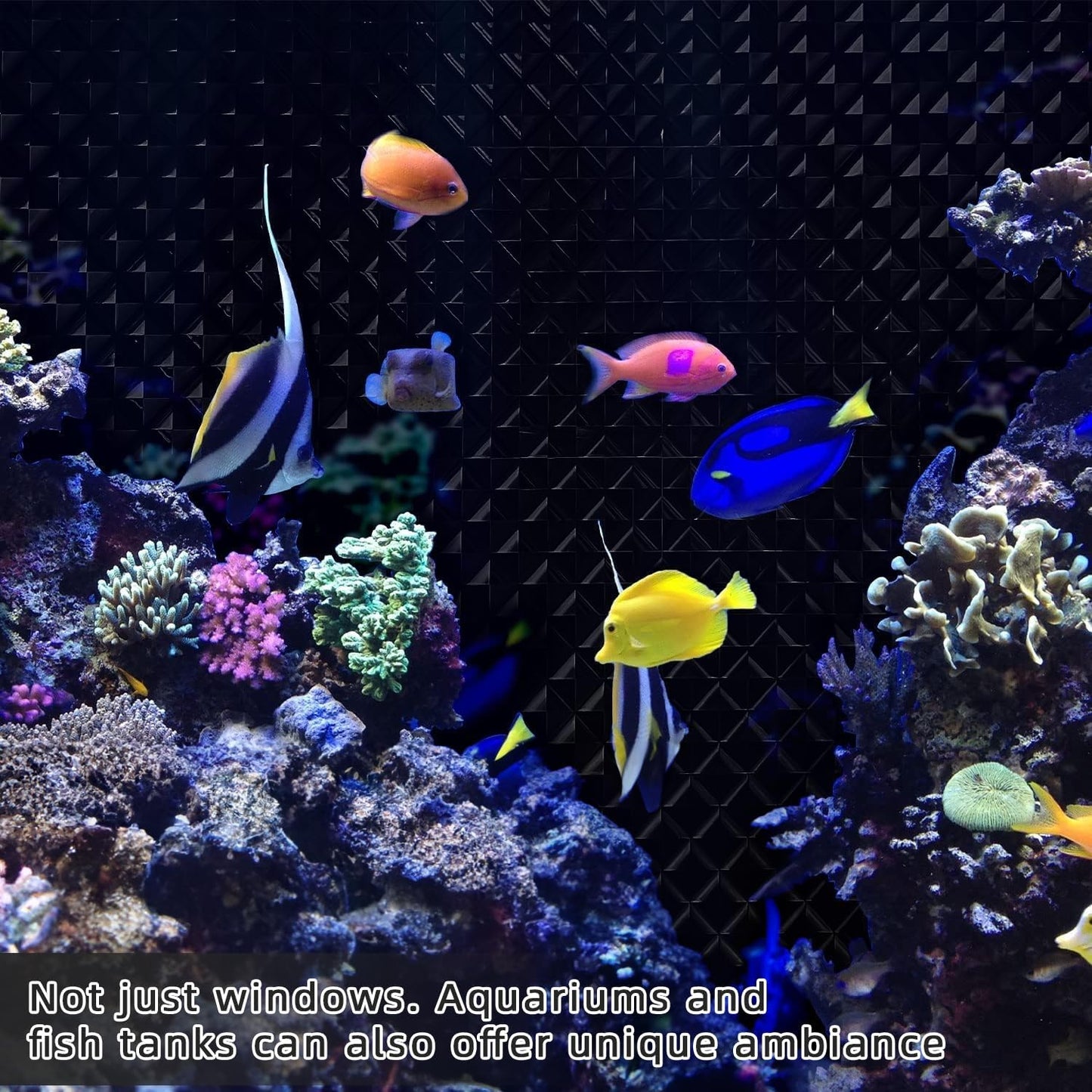 Qualsen Blackout Window Film, ๐๐ ๐๐ข๐ฌ๐ฎ๐๐ฅ ๐๐ฉ๐ฉ๐๐๐ฅ 100% Light Sun Blocking Privacy Film for Glass Windows, Removable No Glue Black Out Window Tint for Home Day Sleep Garage 17.4ร78.7inch