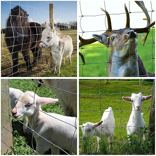 Farm Fence 3ft x 164ft Heavy Zinc Coating Cattle Fence,Galvanized Field Wire Fencing Deer Goat Hog Wire Fencing for Yard Livestock & Animals Protection