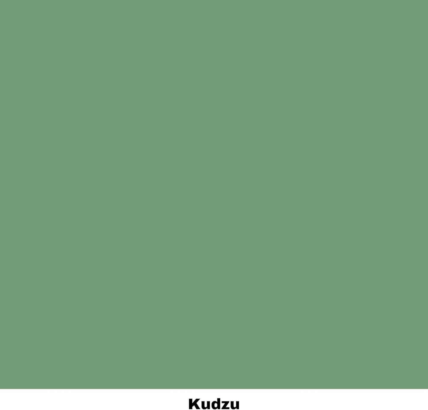 Dixie Belle Paint Company Chalk Finish Furniture Paint - Kudzu (16oz) - Matte Natural Green Chic Chalk Mineral DIY Furniture Paint