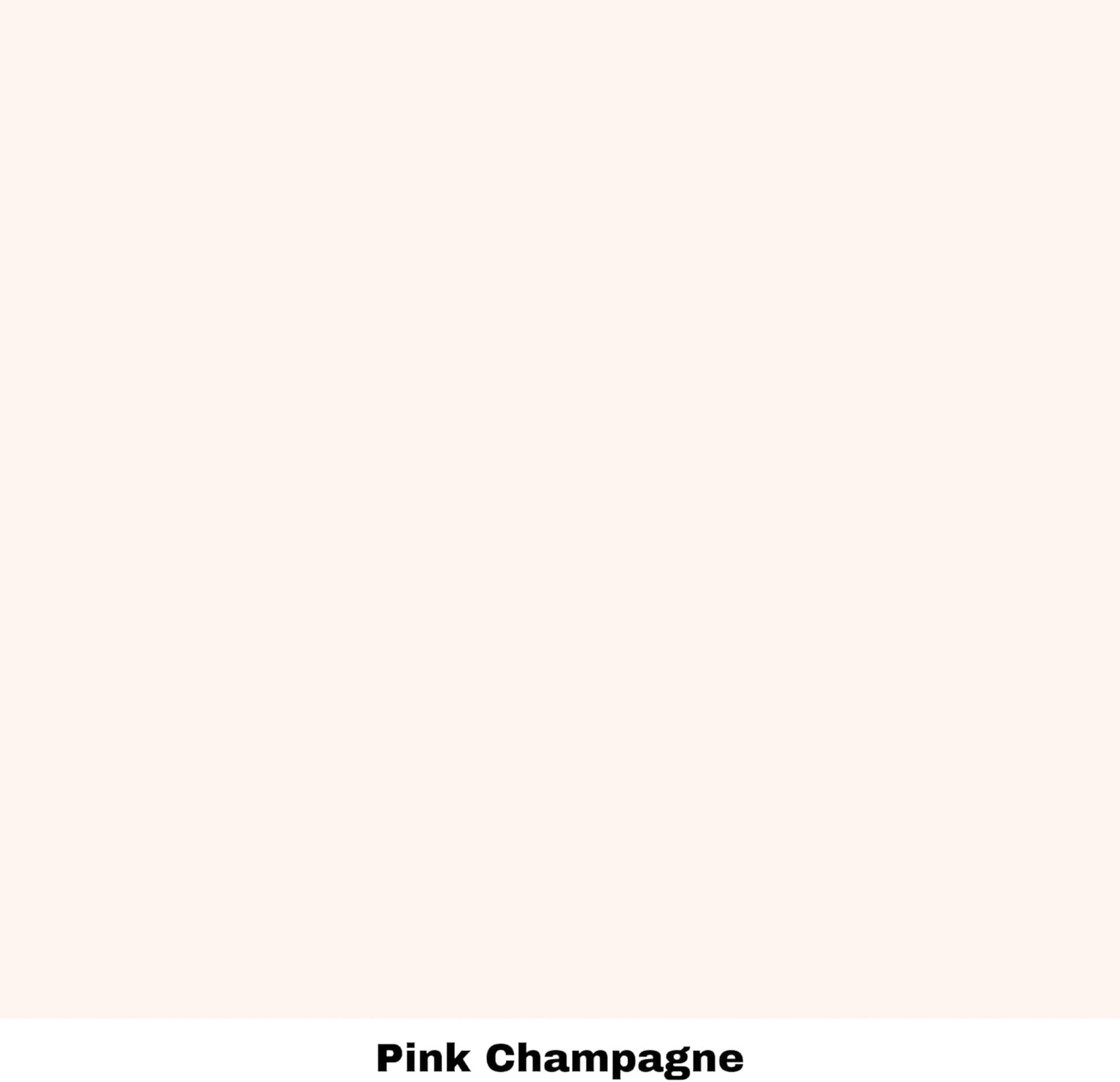 Dixie Belle Paint Company Chalk Finish Furniture Paint - Pink Champagne (4oz) - Matte Pale Pink Chic Chalk Mineral DIY Furniture Paint