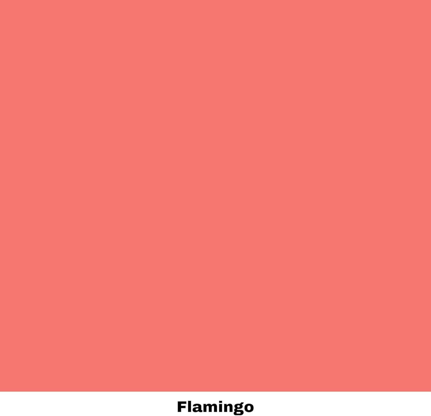 Dixie Belle Paint Company Chalk Finish Furniture Paint - Flamingo (32oz) - Matte Bright Coral Chic Chalk Mineral DIY Furniture Paint