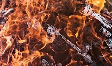 Smoak Firewood - Kiln Dried Premium USDA Certified Firewood (Uncut Rounds (16inch Logs) 100-120lbs)