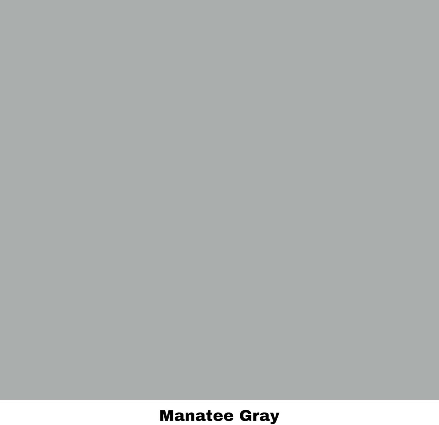 Dixie Belle Paint Company Chalk Finish Furniture Paint - Manatee Gray (32oz) - Matte Light Gray Chic Chalk Mineral DIY Furniture Paint