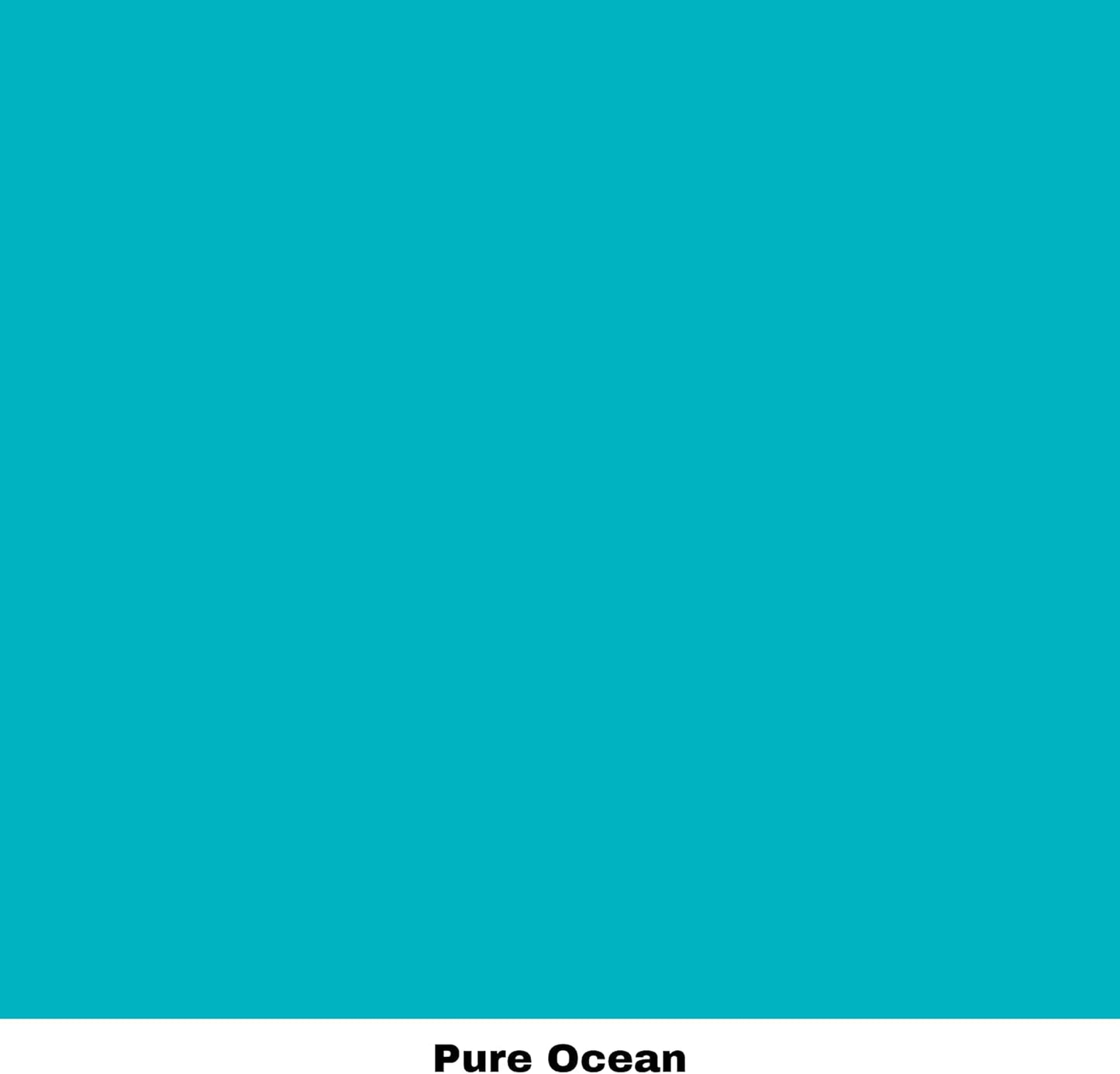 Dixie Belle Paint Company Chalk Finish Furniture Paint - Pure Ocean (16oz) - Matte Bright Teal Chic Chalk Mineral DIY Furniture Paint