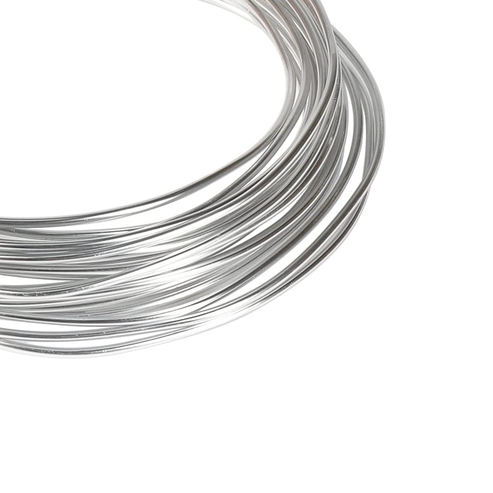 Tenn Well 12 Gauge Aluminum Wire, 100 Feet 2mm Bendable Metal Craft Wire for Sculpting, Armature, Jewelry Making, Floral Making, Doll Making, Modelling, Crafting, Bonsai Training