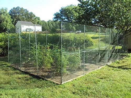 BOEN Garden Fence Temporary Barrier Outdoor Fence for Dog, Rabbit or Deer, Garden Netting Plastic Mesh Plant Protection (4' x 100', Black)