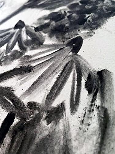 Premium Charcoal Powder for Drawing and Art