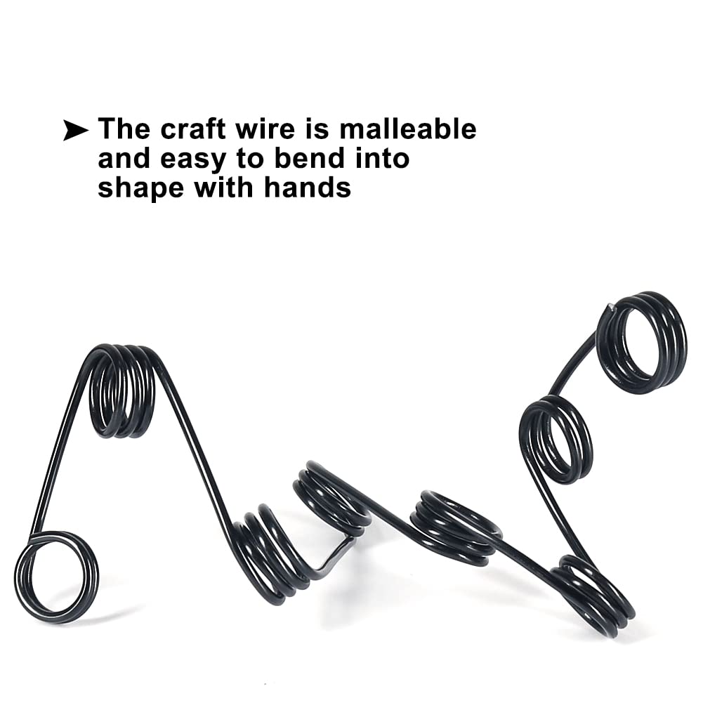 Tenn Well 12 Gauge Aluminum Wire, 100 Feet 2mm Bendable Anodized Metal Wire for Sculpting, Jewelry Making, Armature Making, Halloween Decor, Crafting (Black)