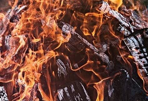 Smoak Firewood - Kiln Dried Premium Oak Firewood (Includes Firestarter) (Large (16inch Logs) 60-70lbs)