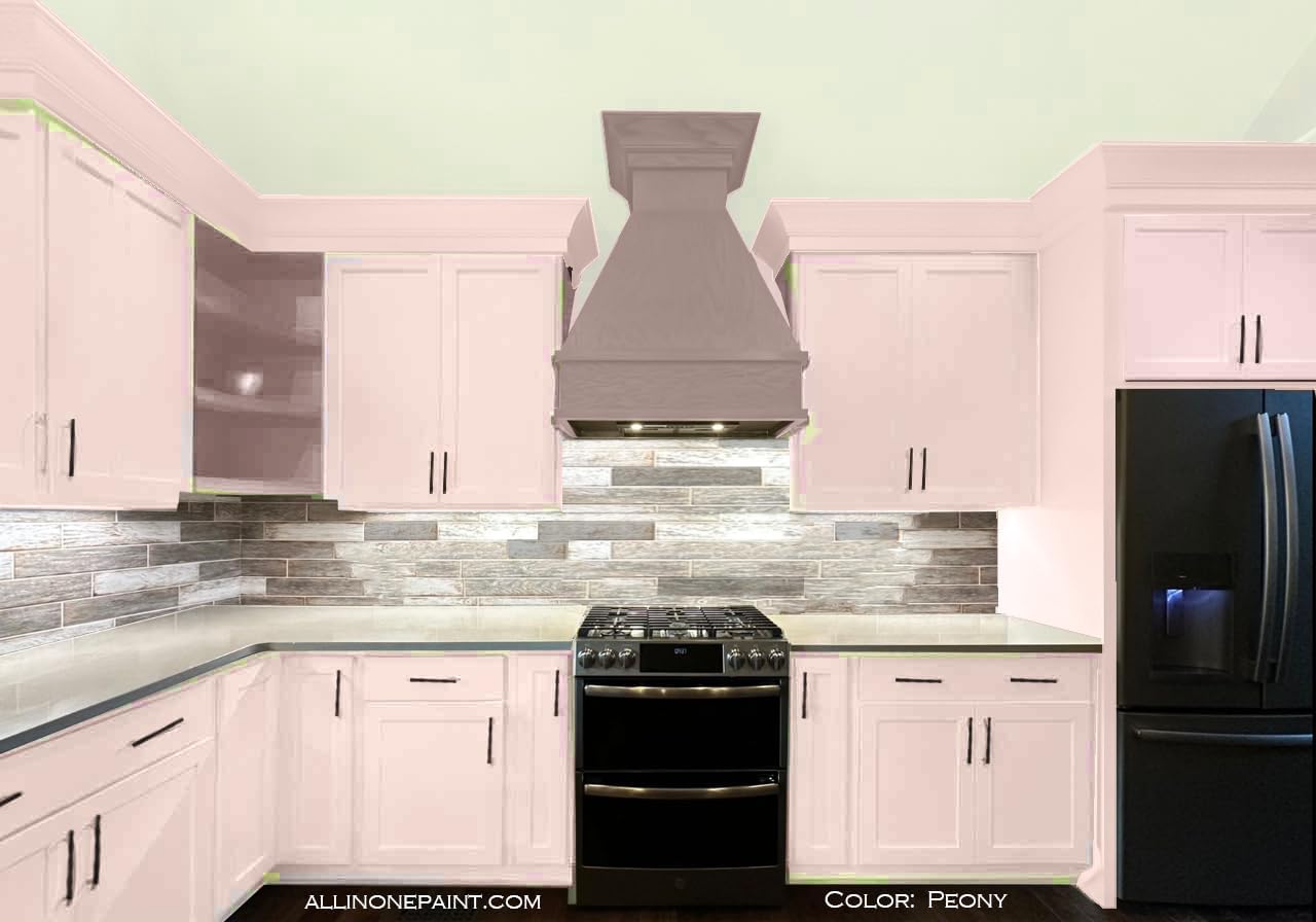 ALL-IN-ONE Paint, Durable cabinet and furniture paint. Built in primer and top coat, no sanding needed. Includes our 30 featured color card - Peony (pale pink), Quart