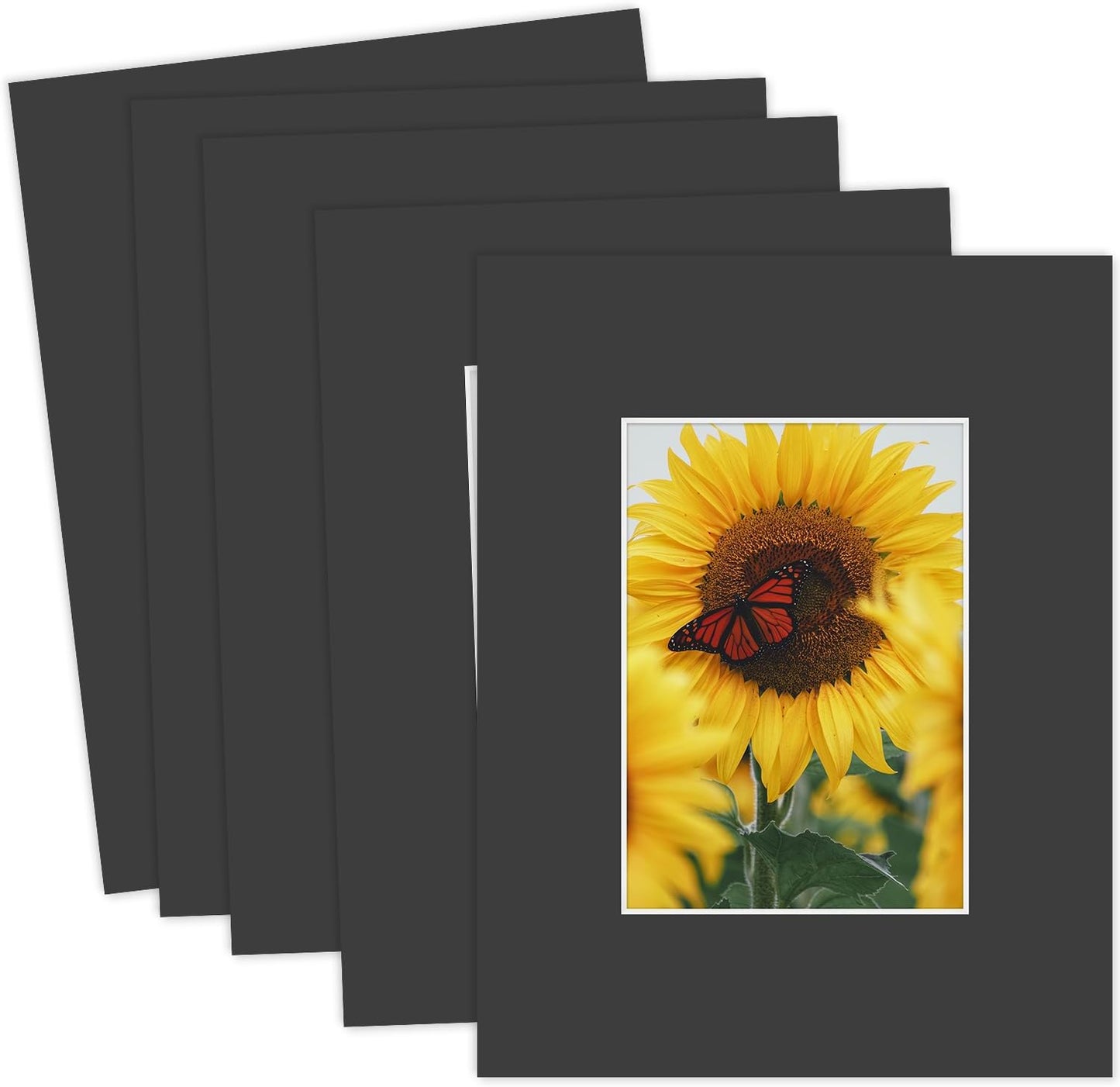 MBC Mat Board Center, 5 Pack 8.5X11 for 5X7 Black Picture Mats Frame Mattes, Bevel Cut, Acid Free, 4-Ply Thickness