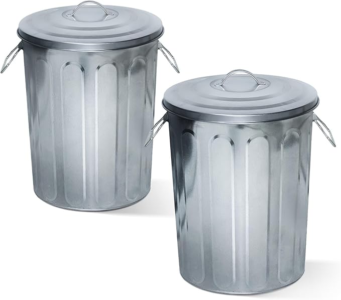 Plexon 5 Gallon Small Metal Trash Can with Lid Outdoor Galvanized Bucket with Lid 5 Gal Fireplace Ash Bucket for Wood Stove Storage Can for Dog Food Bird Seed Storage Container Rodent Pet Proof 2 Pack