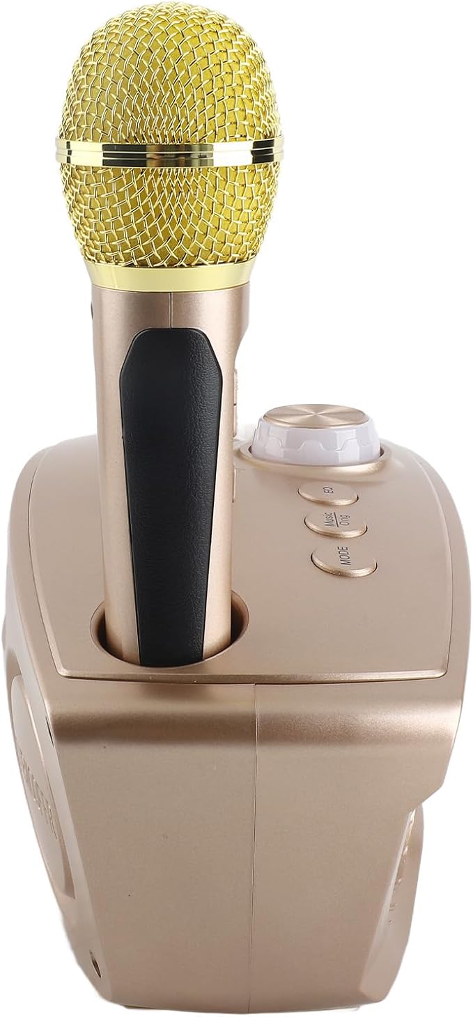 Speaker, KTV Karaoke Speaker with 2 Microphones for Home Party, 3000mAh Battery 10M Wireless Connection AUX Input USB Support (Gold)