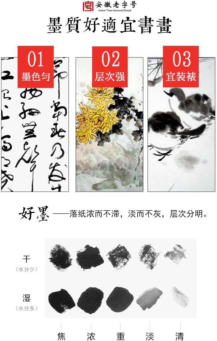 Sumi Ink, Chinese Calligraphy Ink, Liquid Black Carbon Ink, Manga Ink (500ml (17oz), Black)