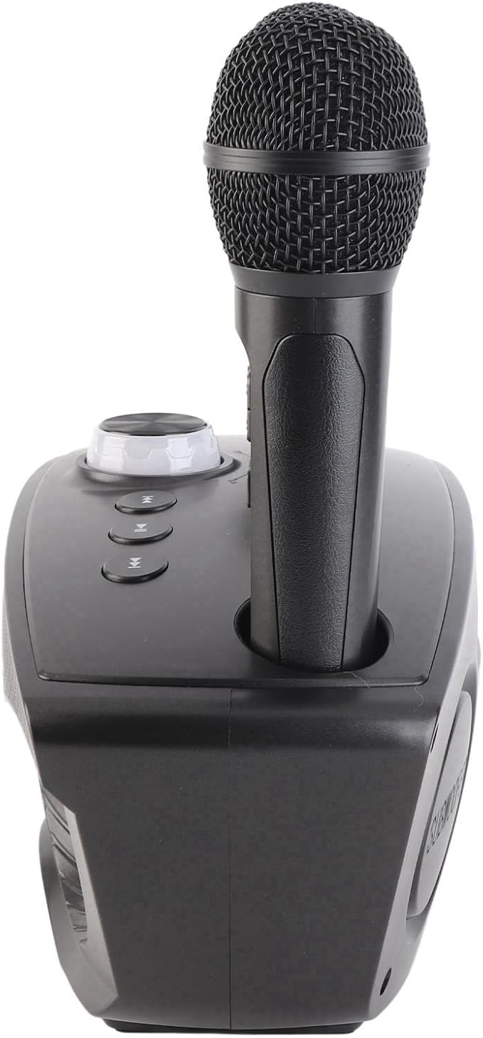 Speaker, KTV Karaoke Speaker with 2 Microphones for Home Party, 3000mAh Battery 10M Wireless Connection AUX Input USB Support (Black)