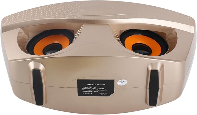 Speaker, KTV Karaoke Speaker with 2 Microphones for Home Party, 3000mAh Battery 10M Wireless Connection AUX Input USB Support (Gold)