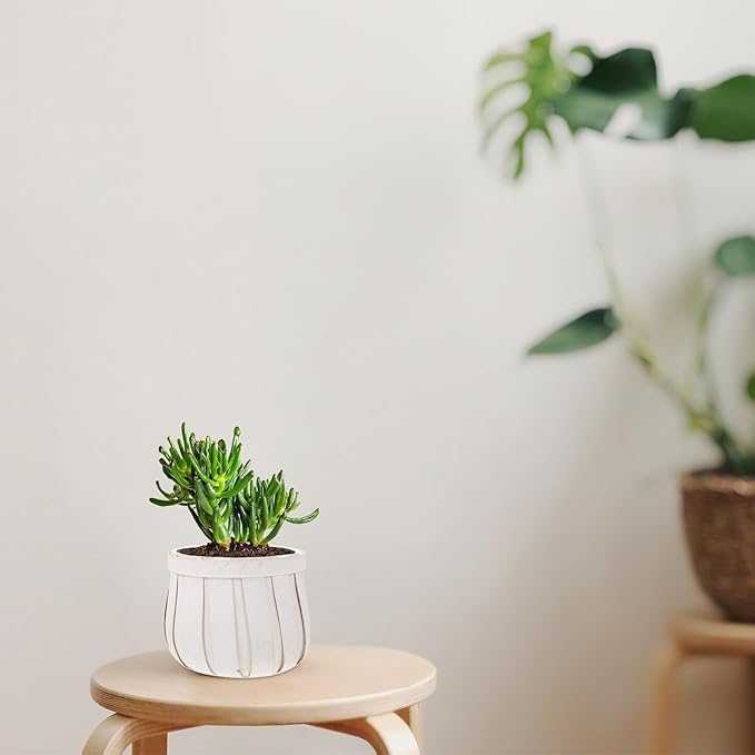 Round Woven Flower Pot with Plywood Base Flower Holder Planter for Indoor Outdoor Use Compact Stackable Storage Container for Home Garden Balcony White