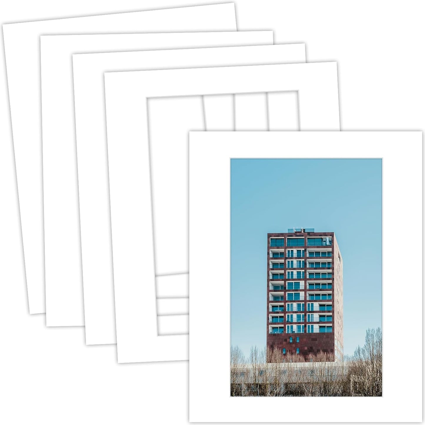 MBC Mat Board Center, 5 Pack 16x20 for 11x17 White Picture Mats Frame Mattes, Bevel Cut, Acid Free, 4-ply Thickness