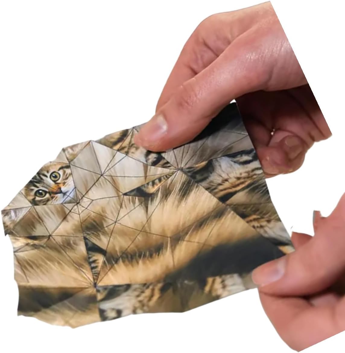 DIY Paper Cats Origami Kit - 50/30 Sheets DIY Paper Origami to Fold Your Own Cute Cat/Dog/Dino Figures - Perfect Desk Origami Cats Decoration & Creative Gift for Kids, Adults & Cat Lovers (Set of 3)