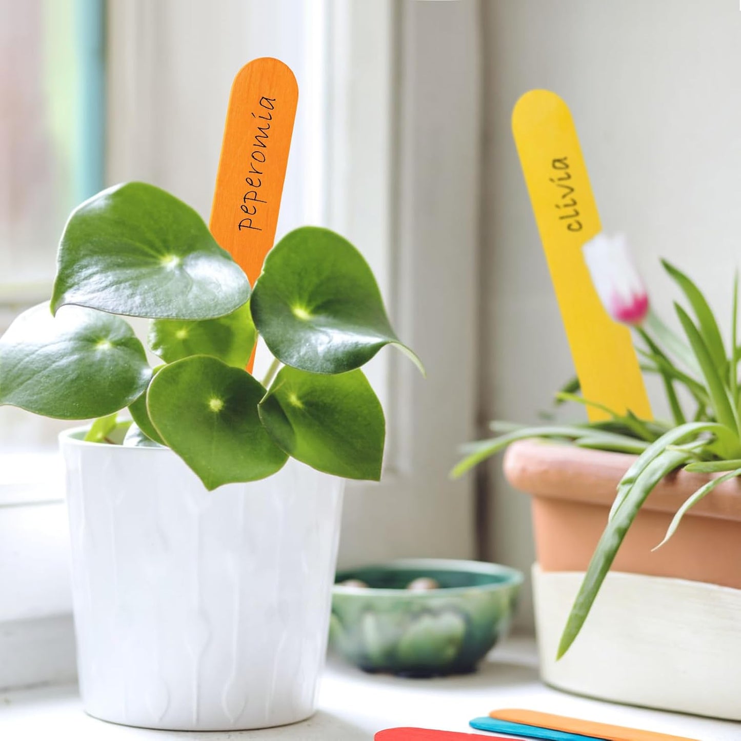 WISYOK 90Pcs 8 Inch Colorful Jumbo Craft Sticks, Large Popsicle Sticks, WaxingSticks, Rainbow Wooden Popsicle Sticks, Paint Stir Sticks Great for DIY Crafts, Plant Labels, and Educational Tools