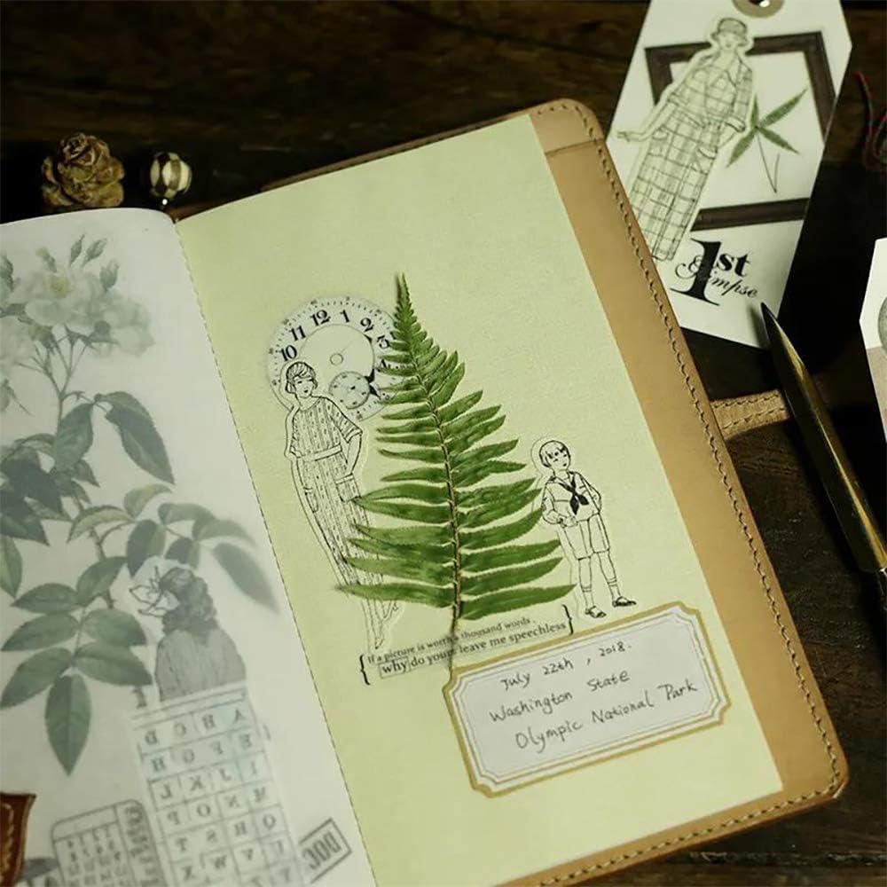 Vintage Vellum Stickers Floral Plants Elements Scrapbooking Supplies Flowers Botanic Natural Translucent Paper Self-Adhesive Junk-Journal Items (Fern)