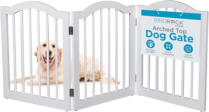 INTERNET'S BEST Arched Top Dog Gate | 3 Panel, 24" H Wooden Pet Barrier for Dogs or Cats | Freestanding Folding Room Divider for Doorways, Hallways, Stairs, and Porch | Portable, Extra Wide | White
