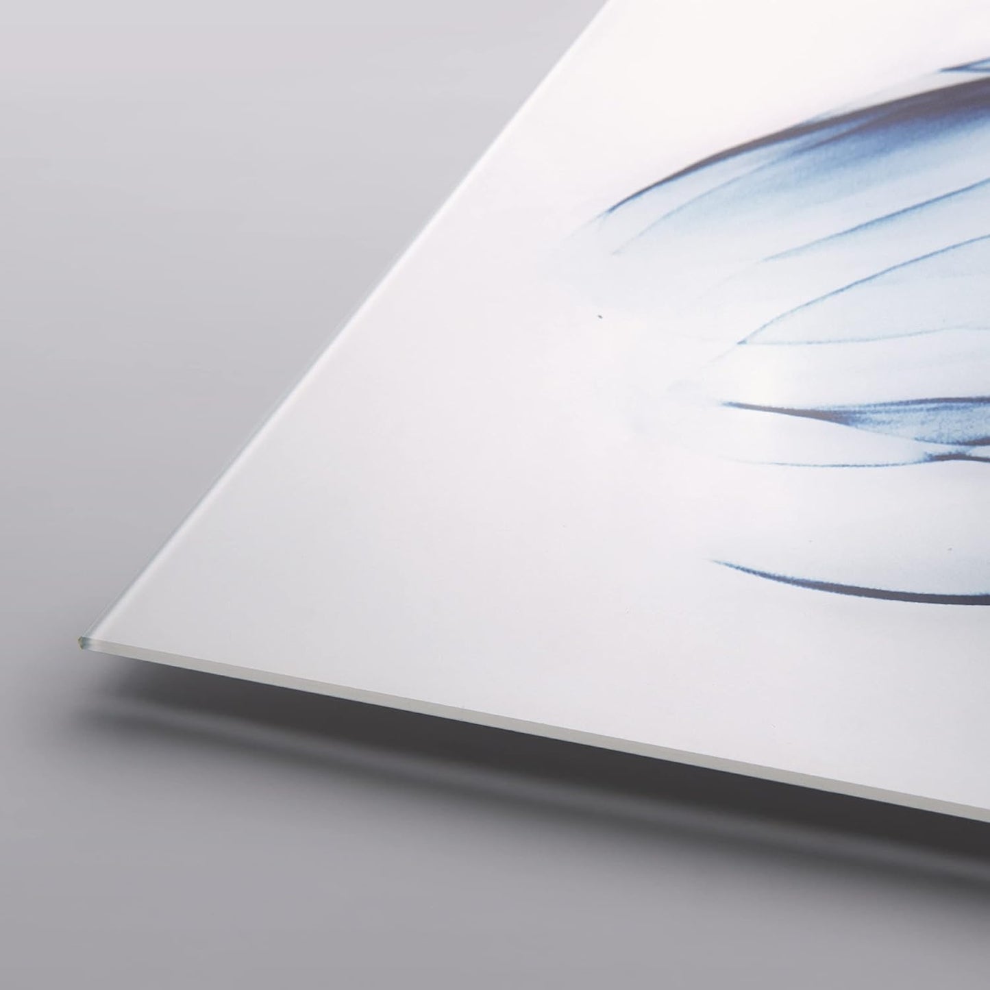 Empire Art Direct Frameless Tempered Glass Wall Art, Decorative Panel, Flower Wall Decor, Ready to Hang, 24" x 48", Two Blue Tulips