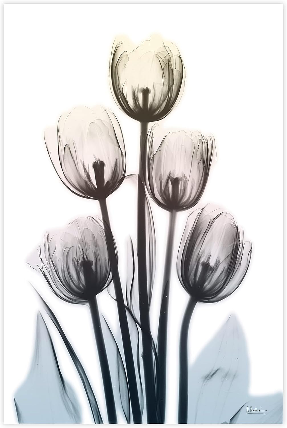 Empire Art Direct 48"x32" Frameless Tempered Glass Wall Art, Springing Tulips Wall Art, Flower Wall Decor, Ready to Hang, X-Photography Wall Decor, Living Room, Bedroom, Home Office