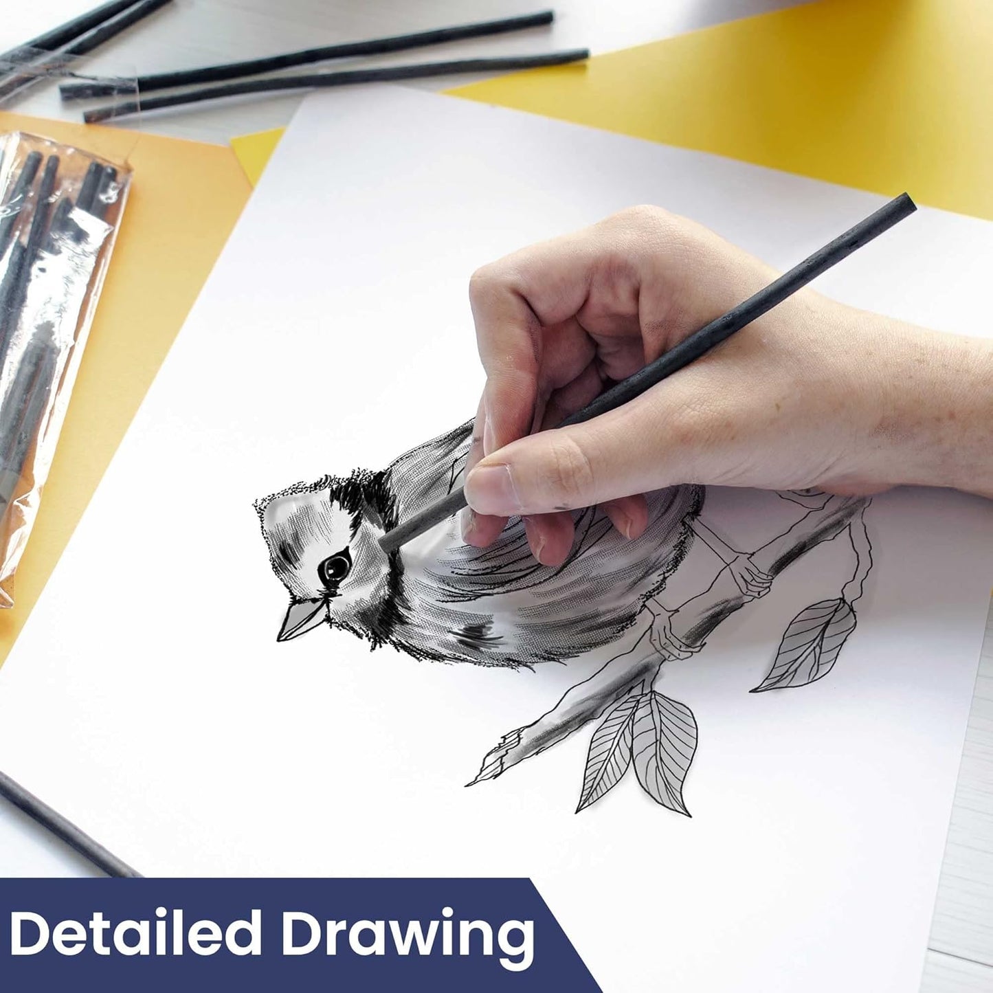 Pacific Arc 2 PACK Large Willow Charcoal Stick 4/Pkg, Soft, Black, Thick Willow Charcoal for Sketching and Drawing …