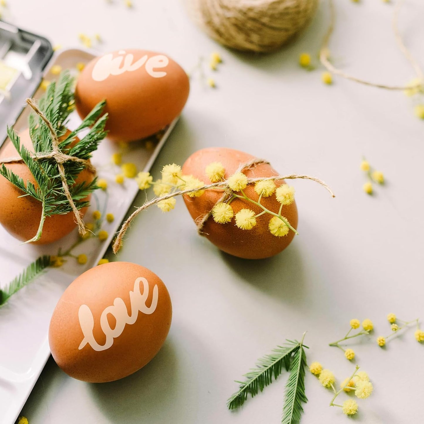 Ant Smart Adhesive Permanent Vinyl Compatible with Cricut Explore and Maker Series Without Cutting Mats, Create DIY Projects, Decals, Stickers & More (Transparent, 13inch x 15ft)