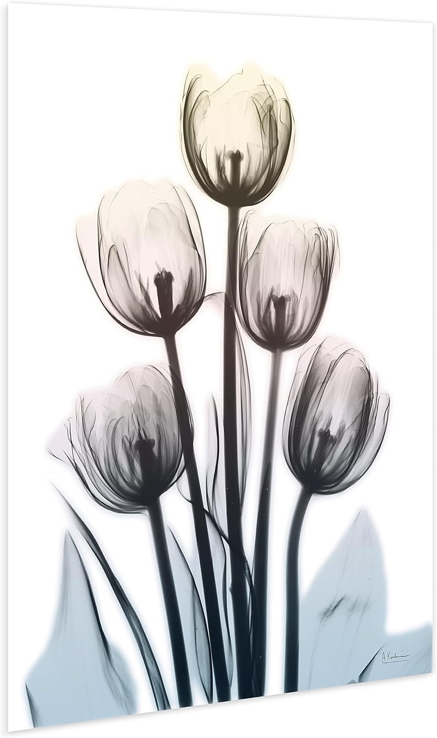 Empire Art Direct 48"x32" Frameless Tempered Glass Wall Art, Springing Tulips Wall Art, Flower Wall Decor, Ready to Hang, X-Photography Wall Decor, Living Room, Bedroom, Home Office