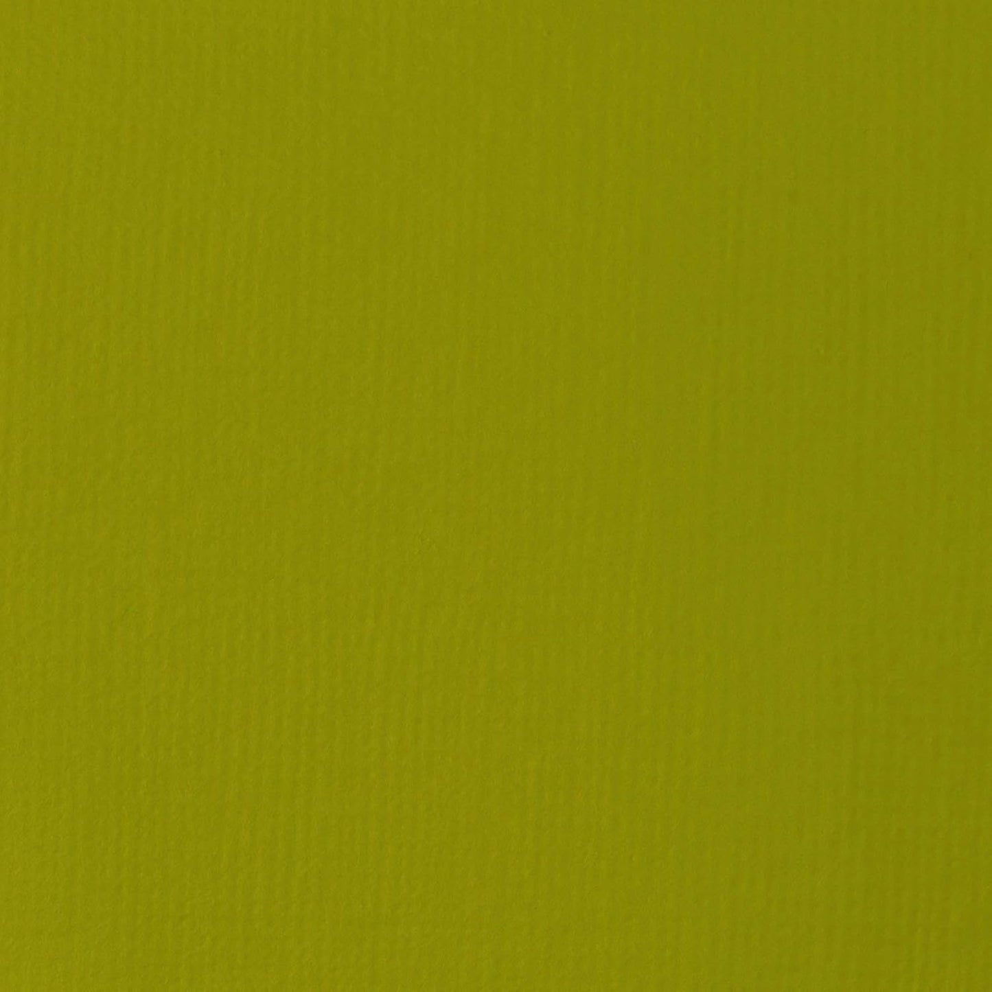 Liquitex BASICS Acrylic Paint, 118ml (4-oz) Tube, Light Olive Green