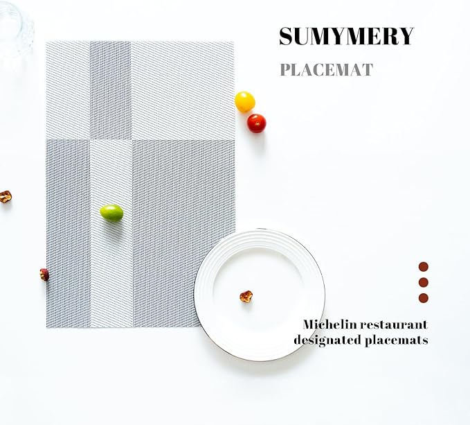 Placemats Set of 8 Vinyl/Plastic Woven Place Mats for Kitchen Table Indoor/Outdoor Washable Placemat Wipeable Dining Table Mats (Silver Cube,8)