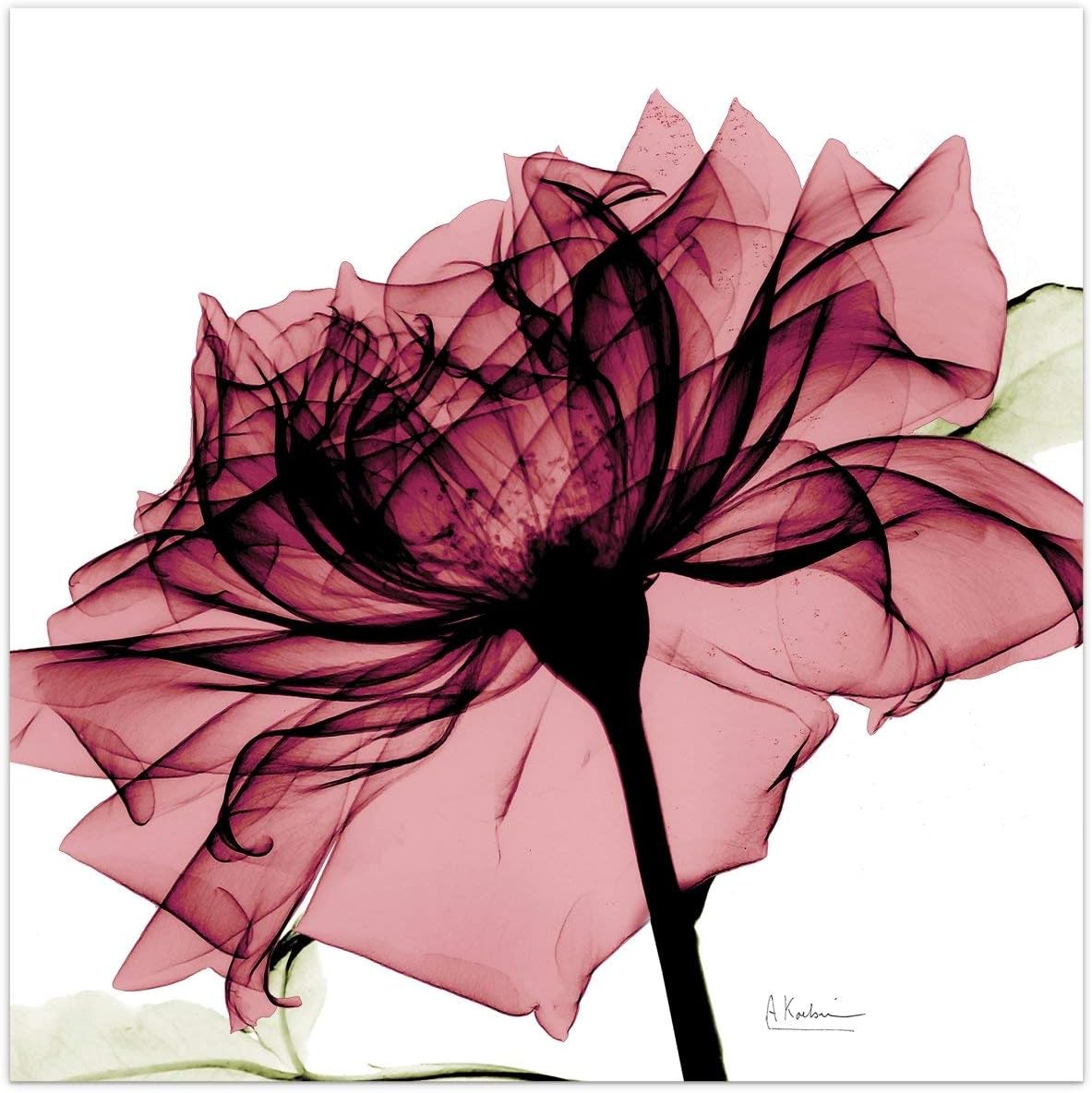 Empire Art Direct Frameless Free Floating Tempered Glass Panel Graphic Wall Art Ready to Hang, 24" x 24", Chianti Rose I, Red Flower Art