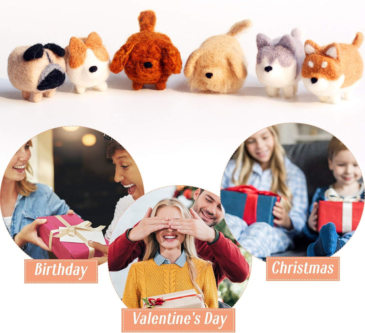 WILLBOND 10Pcs Needle Felting Kit Animals Doll Making Wool Needle Felting Starter Kit with Instruction DIY Handmade for Adult Friends Birthday Gift Home Decoration