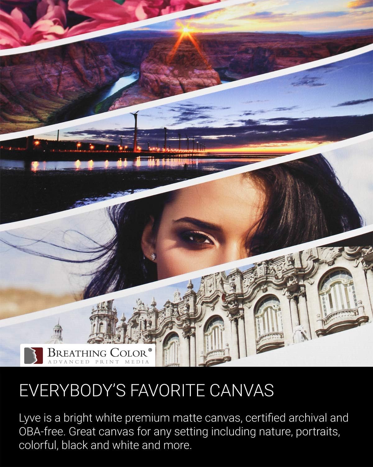 Premium Lyve Matte Canvas Paper Perfect For Use on Professional Makes and Models of Epson, Canon and HP printers preferred by Professionals. 19 mil textured Canvas offered in a 64 inch by 40 ft roll