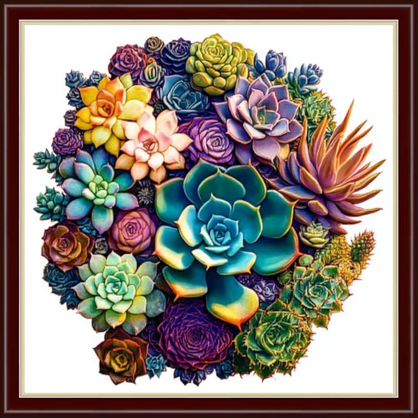Dimensean Stamped Cross Stitch Kits Full Range of Embroidery Patterns Starter Kits for Beginners Adult or Kids DIY Cross Stitches Needlepoint Kits 11CT-Colorful Succulent Plants 18x18 inch