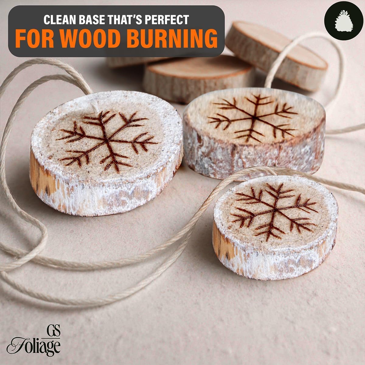 Wood Slices in Mesh Bag for Crafts DIY Projects Rustic Wedding Decorations Ornaments Coasters Tags Home Decor (White Washed)