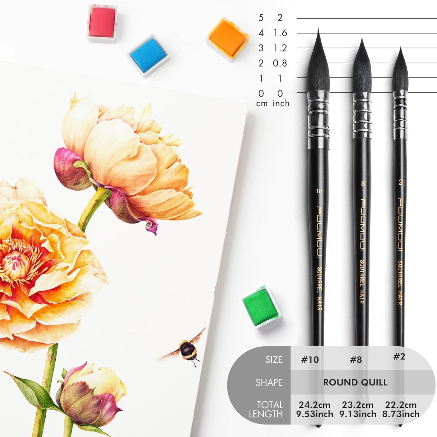 3PCS Squirrel Hair Watercolor Brushes, Fuumuui Professional Mop Round Quill Detail Fine Tip Watercolor Paint Brush Set for Water Color Gouache Ink Painting - Sizes #2, 8, 10