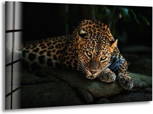 My Photostation.com 48Wx32H'' Fierce Leopard Glass Wall ArtTempered Glass Printing Wall Decor Large Wall Art Wall Hangings