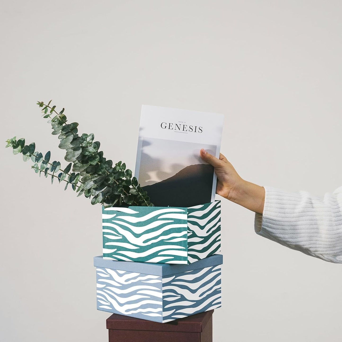 Ant Smart Adhesive Permanent Vinyl Compatible with Cricut Explore and Maker Series Without Cutting Mats, Create DIY Projects, Decals, Stickers & More (Matte White, 13inch x 5ft)