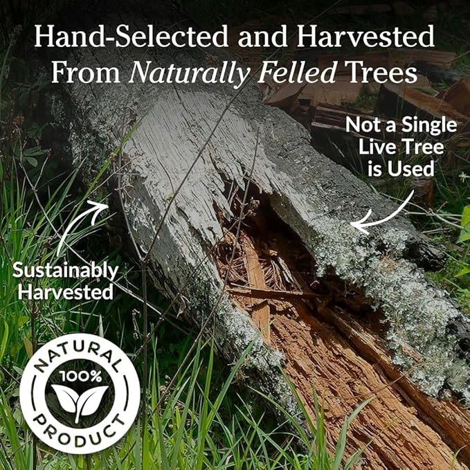 Plow & Hearth 11 LBS Fatwood Fire Starter Sticks Organic Kindling, Easy Ignition Fat Wood, All Natural Firestarters for Fire Pit, Wood Stoves, Fireplaces, Campfires, Bonfires, BBQ