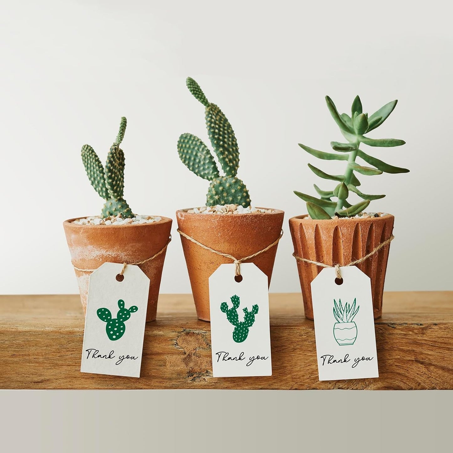 Ant Smart Adhesive Permanent Vinyl Compatible with Cricut Explore and Maker Series Without Cutting Mats, Create DIY Projects, Decals, Stickers & More (Green, 13inch x 5ft)