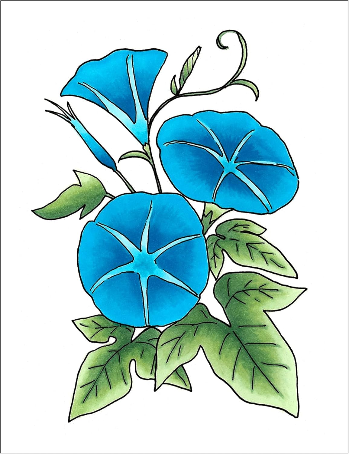 Copic Sketch, Alcohol-based Markers, 3pc Set, Color Fusion #6, Blue