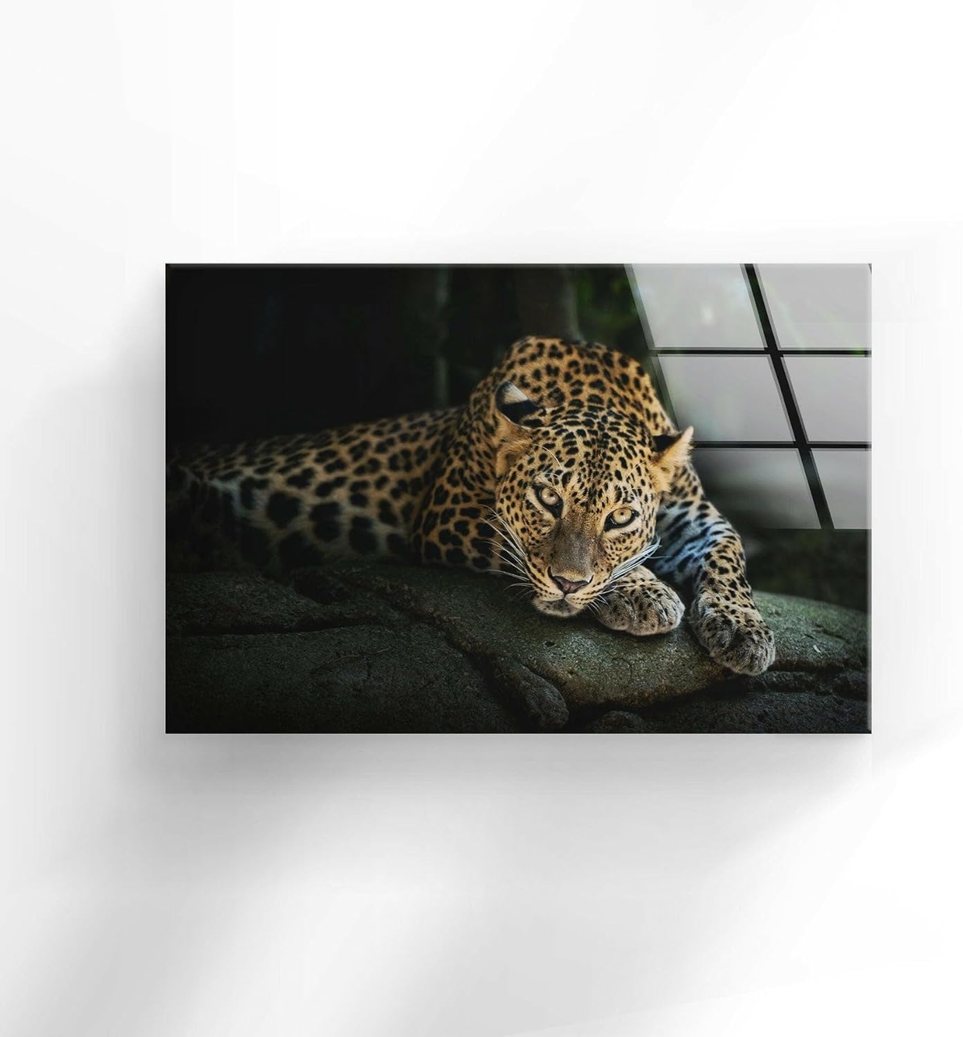 My Photostation.com Round 31,5'' Fierce Leopard Glass Wall ArtTempered Glass Printing Wall Decor Large Wall Art Wall Hangings
