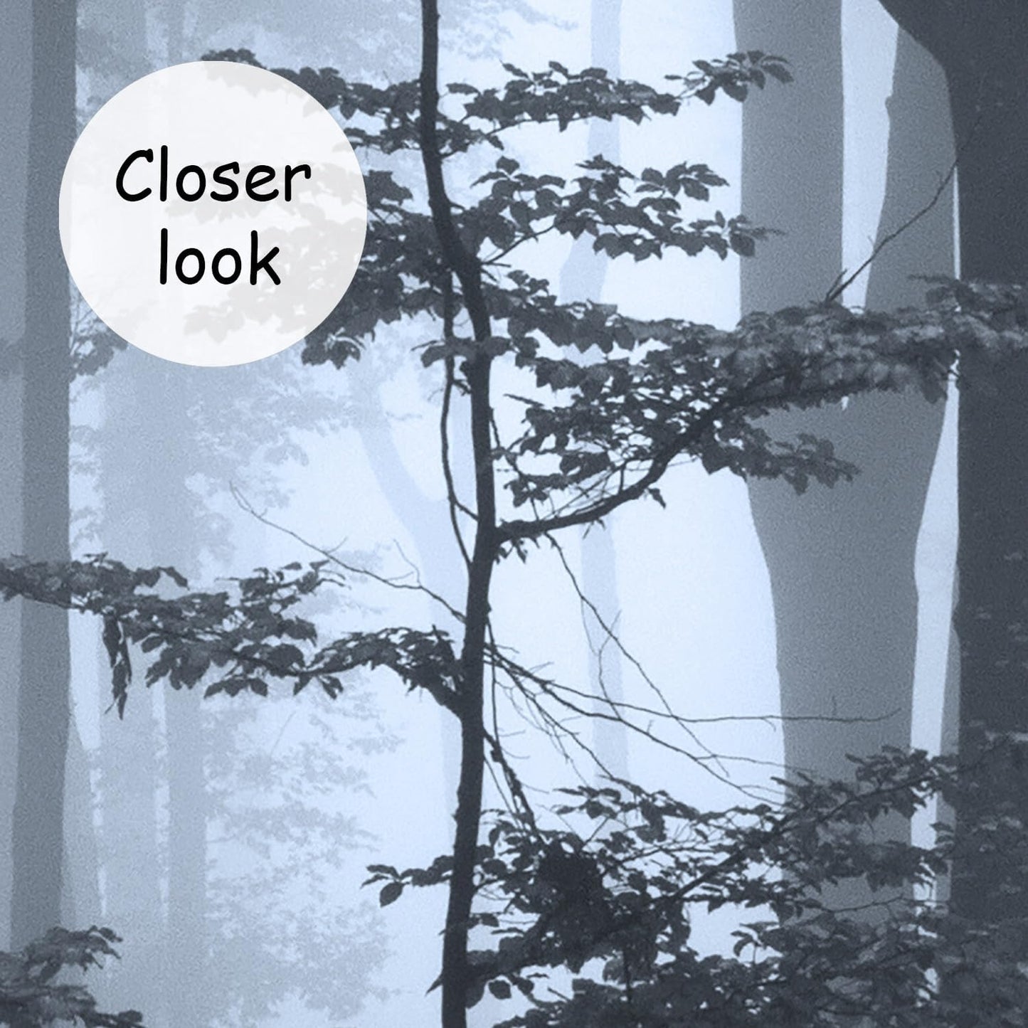 AFZEVEB-Foggy Dark Forest Wallpaper Landscape Tree Wall murals for Bedroom 114"x74"(Not Peel and Stick)