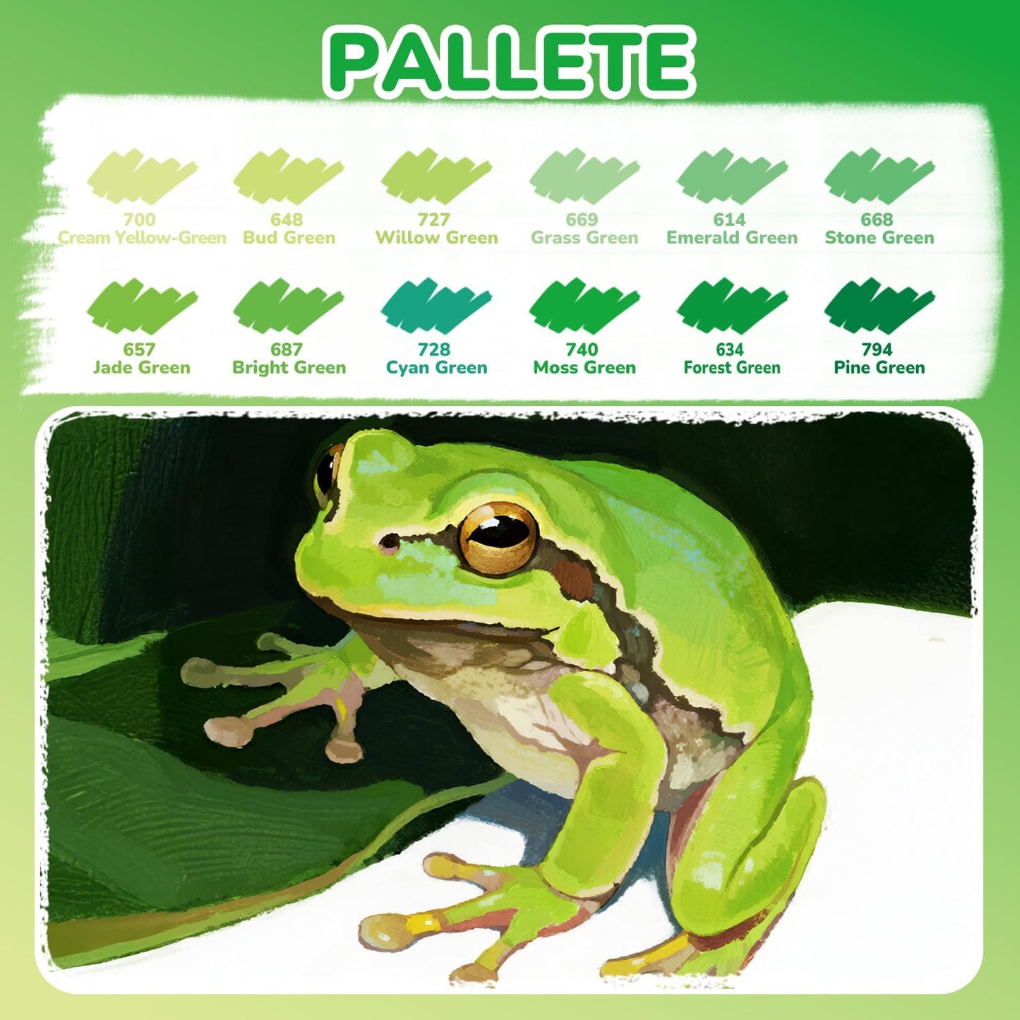 Guangna 12 Green Dual Tip Acrylic Paint Markers, Brush Tip & Chisel Tip Acrylic Paint Pens for Rock, Wood, Glass, Paper, Coloring Book, Ceramic, Canvas, Water-Based Ink